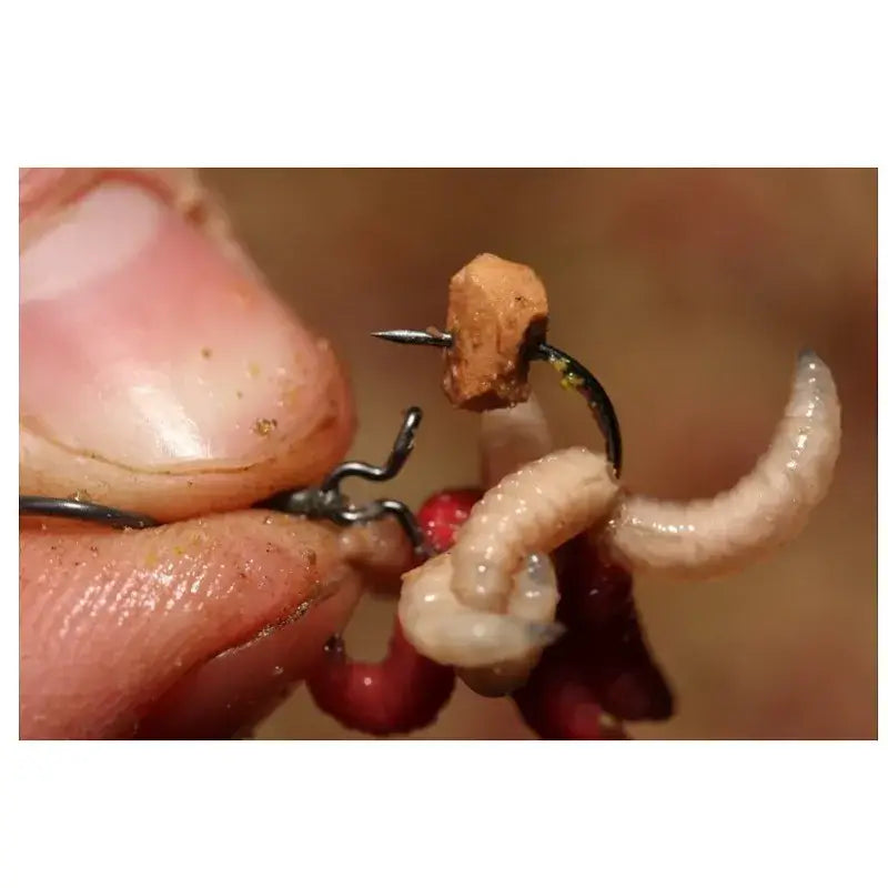 Maggot Korda L 1
