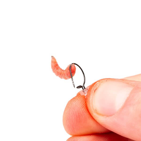 Maggot Screw Nash 2