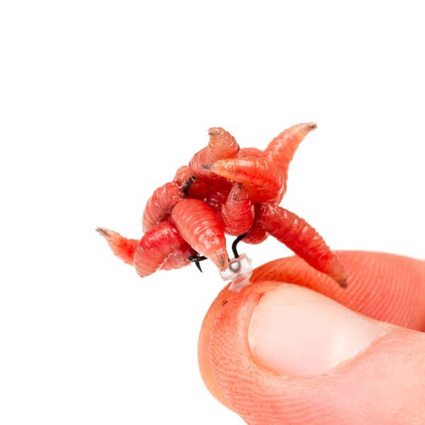 Maggot Screw Nash 3