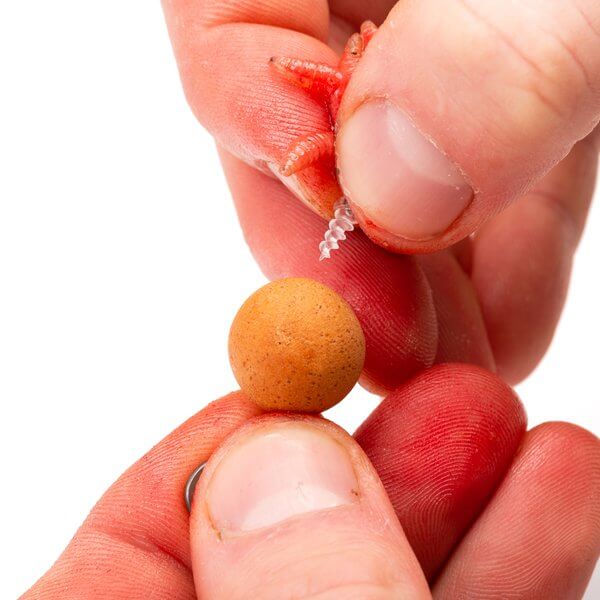 Maggot Screw Nash 4