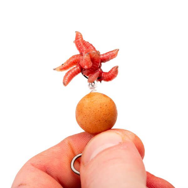 Maggot Screw Nash 5
