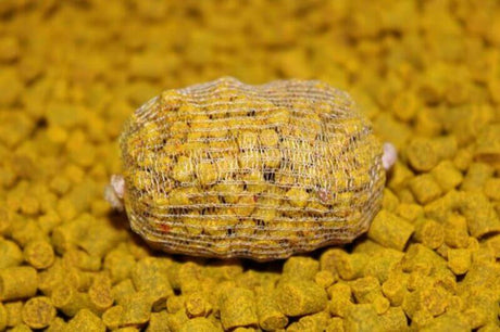 Micro Pellets Pro Elite Baits Pina Scopex 1
