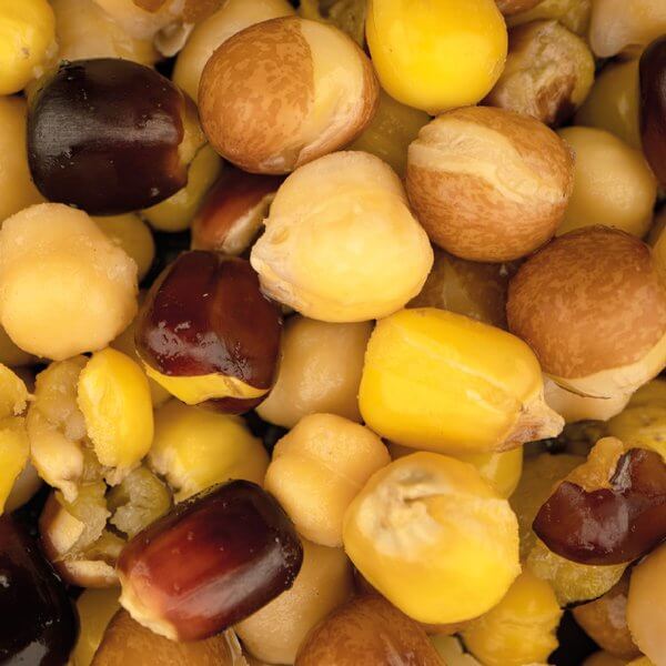 Mix Semilla Nash L 1