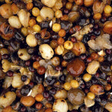 Mix Semilla Nash S 2,5 L 2