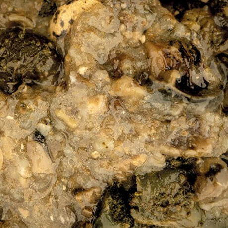 Mussel Blend 500 ml 1