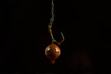 Pop Ups Sticky Krill 1
