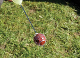 Shrink Wrap Boilie Guard Carp Spirit 3