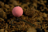 Wafters Sticky The Krill Rosa 2