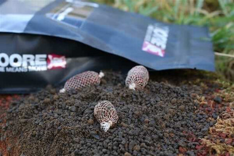 Bag Mix Ccmoore Belachan 1 kg - Tienda Carpfishing