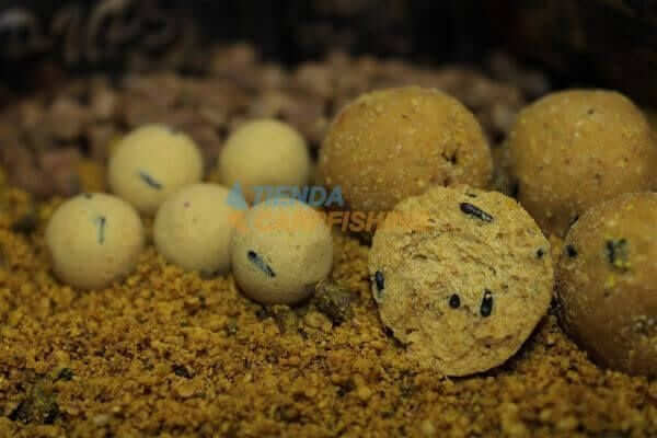 Boilies Pro Elite Baits Gold Sweet Dreams 24 mm - Tienda Carpfishing