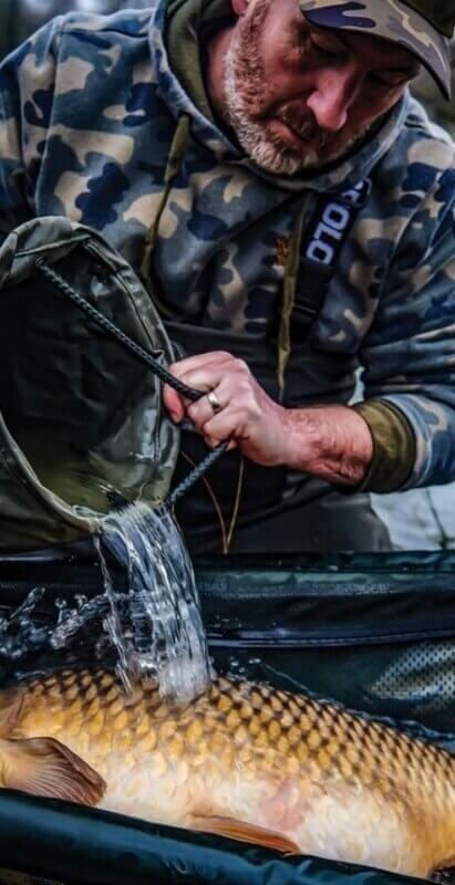 Cuna Prologic Avenger - Tienda Carpfishing