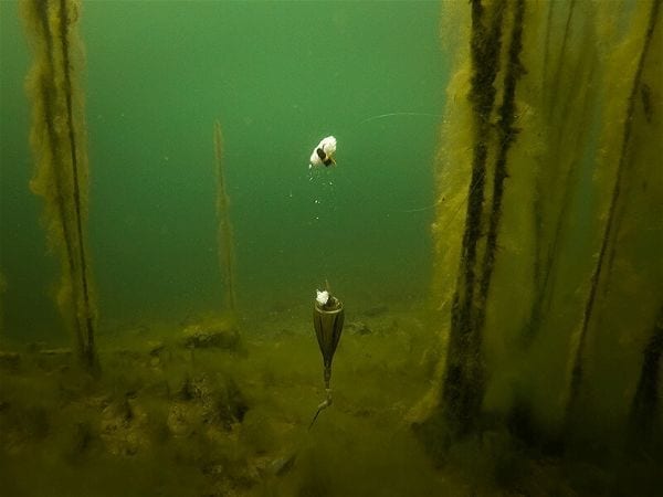 kit flotante edges zig carpfishing 9