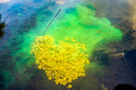 Líquido Fluminow Explosive Pro Elite Baits Robin Red 150 ml - Tienda Carpfishing