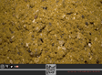 stick mix homer trybion