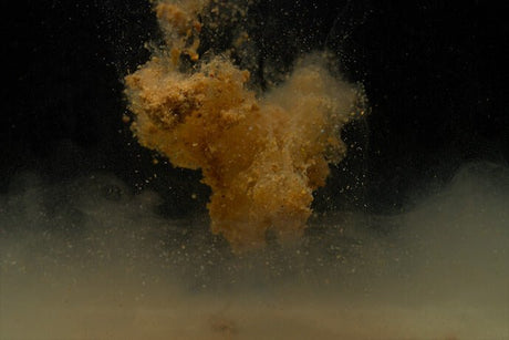 Stick Mix Sticky Krill 2,5 kg - Tienda Carpfishing