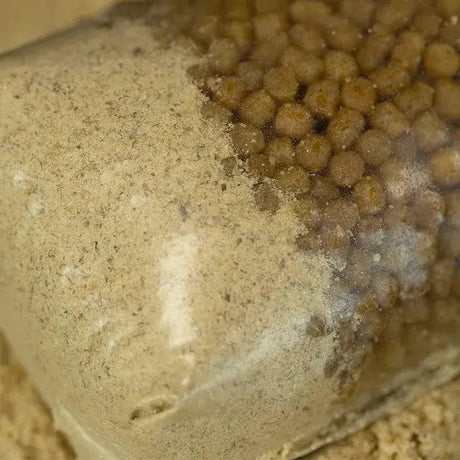 Stick Mix Sticky Manilla 2,5 Kg - Tienda Carpfishing