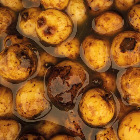 Sweet Tiger Nuts Nash 2,5 L - Tienda Carpfishing